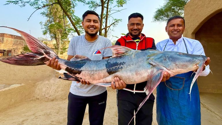 68 Pounds Big Catfish | Huge Fish Cutting and Cooking | Giant Catfish Fry | Village Food Secrets
