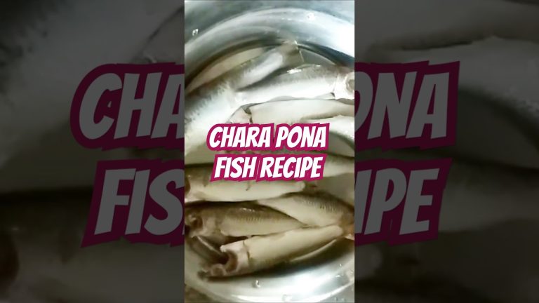 Chara pona fish recipe | bengali fish recipe | fish recipe | #kolkata  #shots #foryou #bengalifish