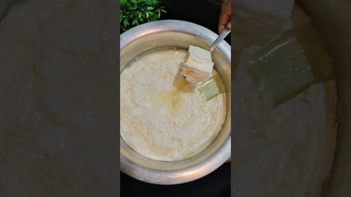 Kya Aapne Kabhi Khaya hai ! Buffalo milk Khiz recipe | milk desert Recipe #shorts #dessert
