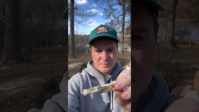 Razor Clams are Delicious? #seafood #clams #razorclams