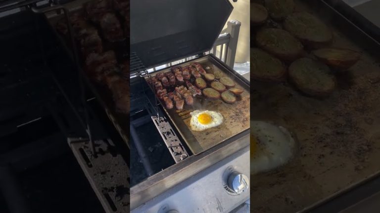 Plancha, hiver, NESO Grill, chaleur constante, Woooowwww!