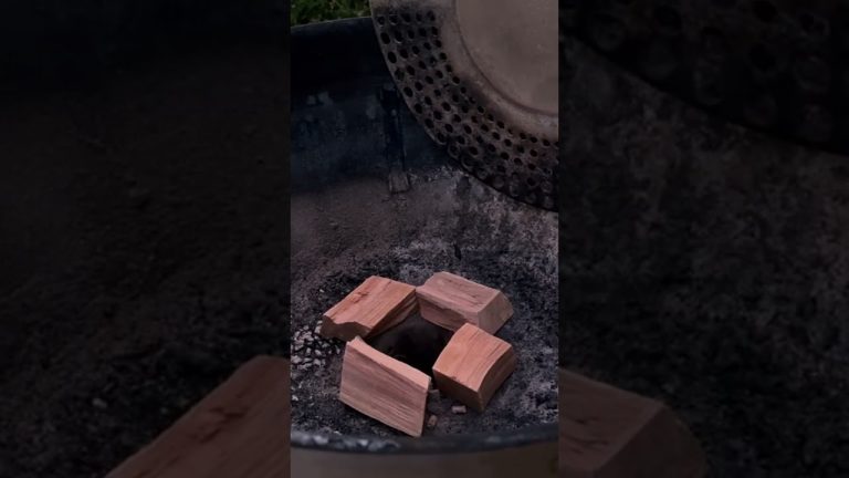 Do apple wood chunks produce smoke? #bbq #food #barbecue #grilling #grilltime #craftbbq 🔥🔥