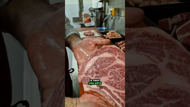 4 ans de travail pour cette Côtes de Boeuf ? 🥩 Lausanne 🇨🇭