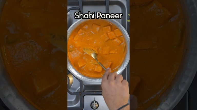 Aag wala SHAHI PANEER #bharatzkitchen #food #recipe #foodie