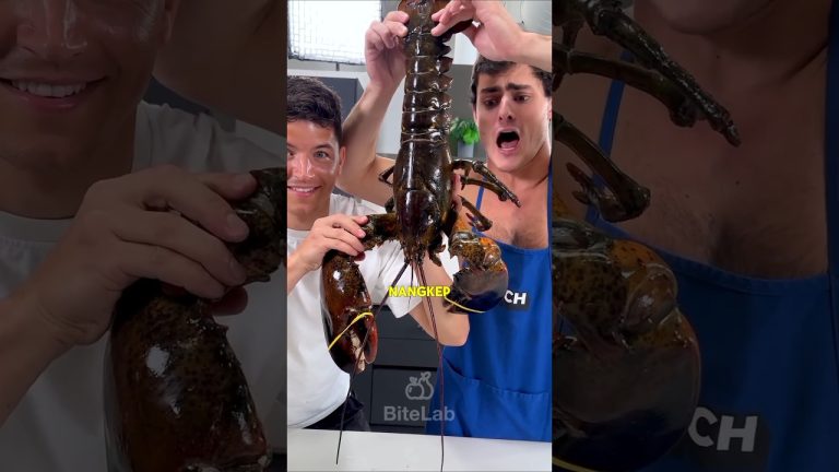 Lobster besar yang dimasak ala hotel bintang lima🦞 #shorts