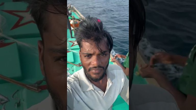 #fishing video##seafoodrecipes