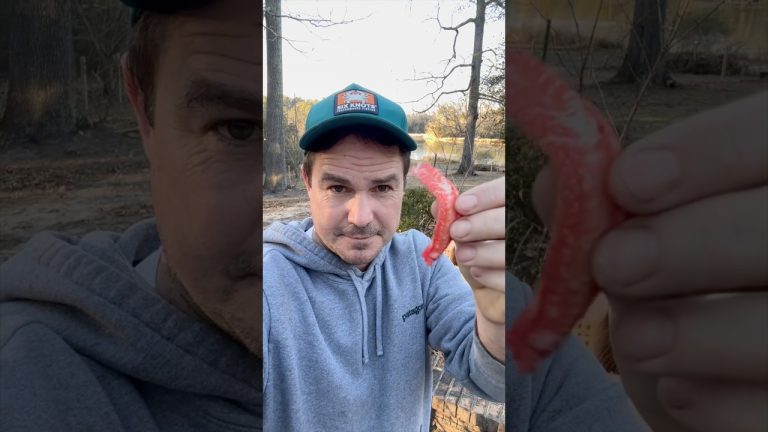 ALDI Snow Crab?! #seafood #snowcrab #aldi