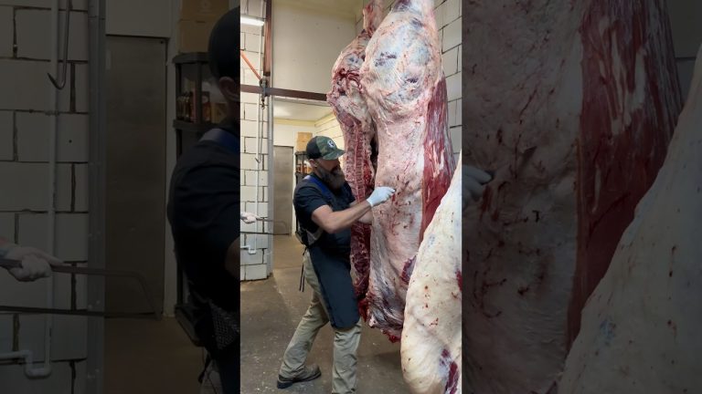 Breaking Beef! #shorts #shortvideo #viral #trending #beef #bbq #steak