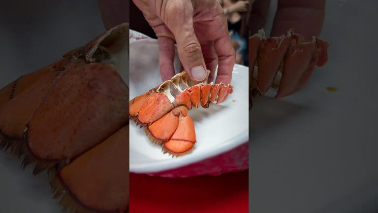 Please, we are at your service #CatchKohSamui #GastronomicShow