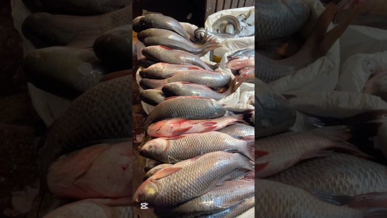 Kala rohu marinated recipe #food #trending #viralvideo #cooking #shorts for order check link