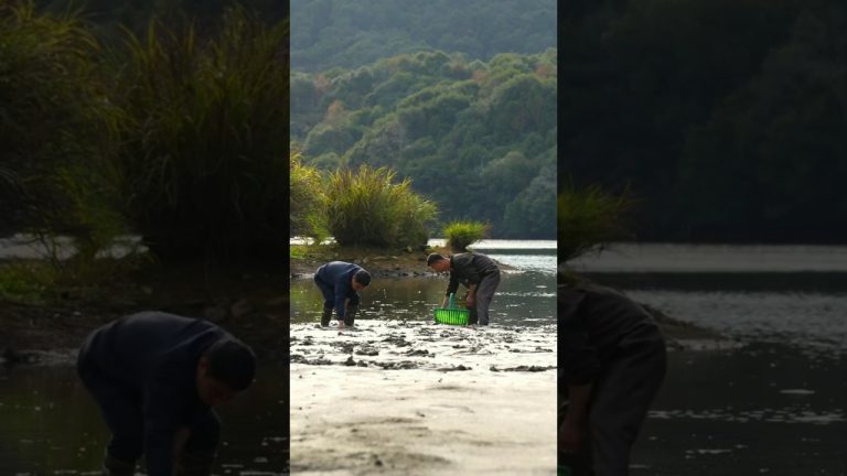 Rasa Di balik Cangkang