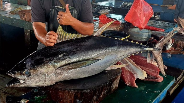 Live 05 Jan 25🔥🔪🔥 yellowfin tuna cutting skills di Pasar Ikan Jembatan Puri Kota Sorong Papua