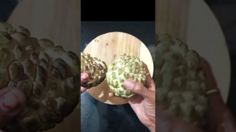 Sitafal Milkshake | Delicious & Creamy Custard Apple Smoothie Recipe | @cookwithkinna