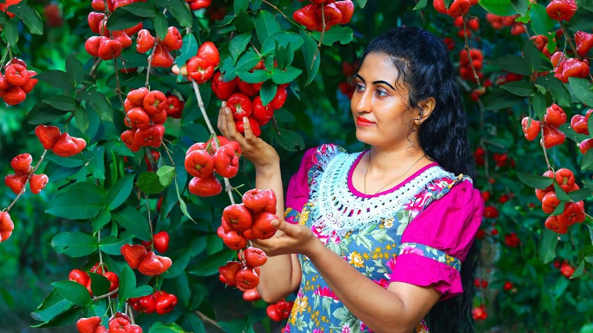 The best rose apple 🍎 delights! sweets, desserts & special menu for celebration!