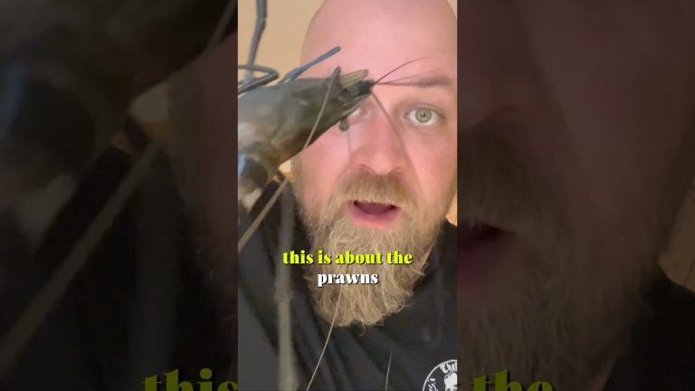 Freshwater Prawns: The Ultimate Clean & Cook