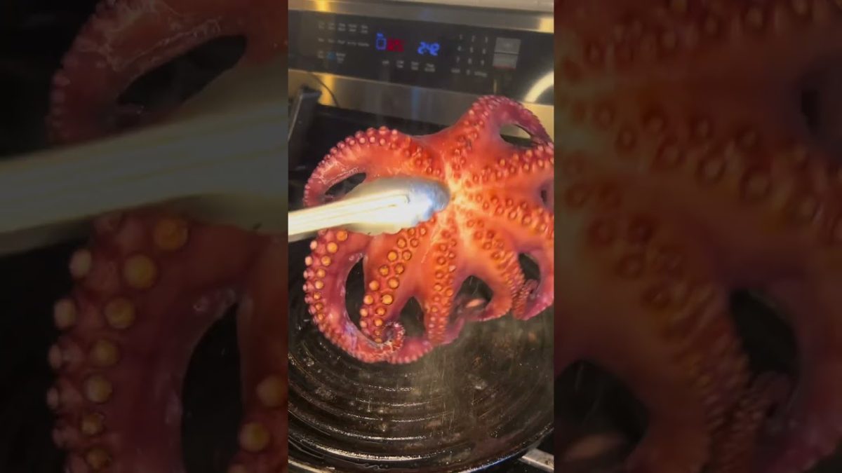 Charred octopus