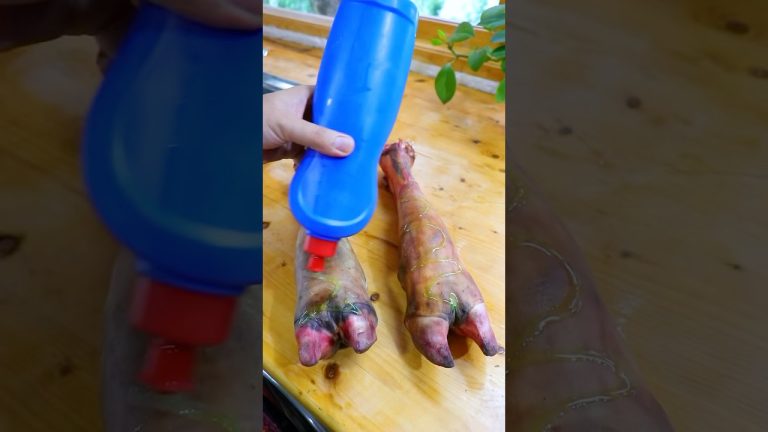 Washing??عجیب. #youtube #petfoodie #cat #recipe #petfood #pets #foodie #catdog #cats #seafood