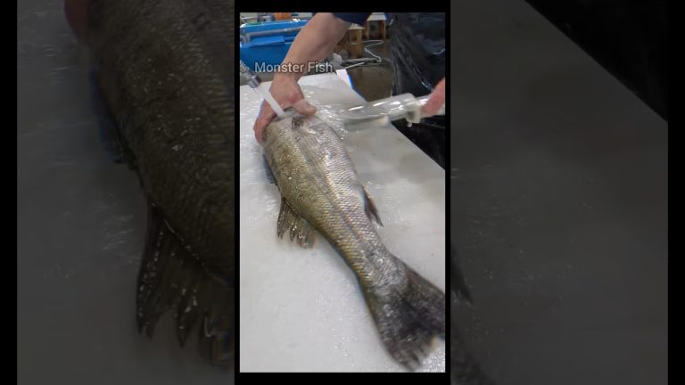 fast Fish cutting ✂️ | #fishcurry #seafood #fish #seafoodrecipes #food #shorts