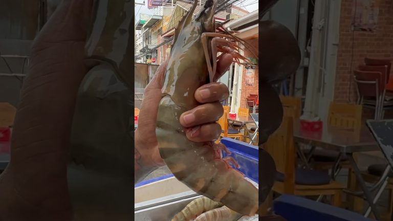 1 FOOT TIGER Prawn! Thai Street Food #food  #thailandstreetfood  #seafood #thailand