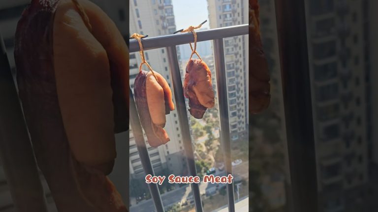 Soy Sauce Meat | 酱油肉 #cooking #delicious #chinesefood #food #recipe #curedmeat #meat  #differentfood