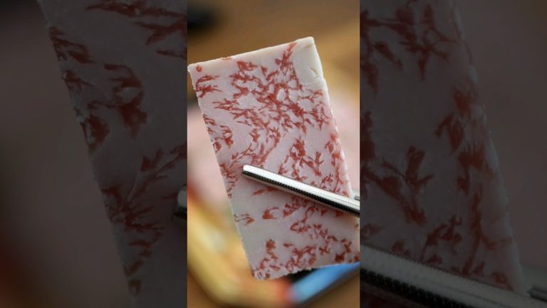 Experimenting with Wagyu Slices: Creating the Perfect Sushi Texture 🥩🍣 #sushi #wagyu