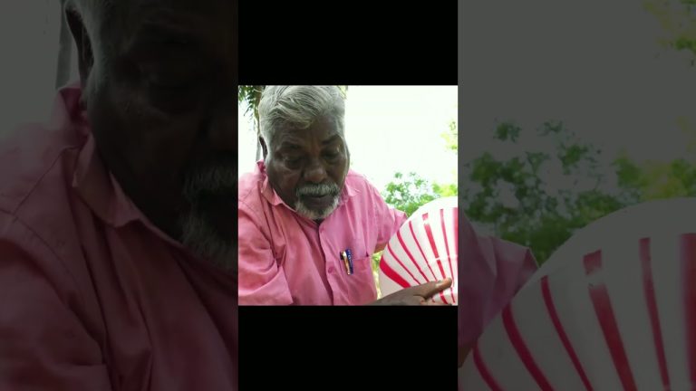 CABBAGE CHICKEN ROOL