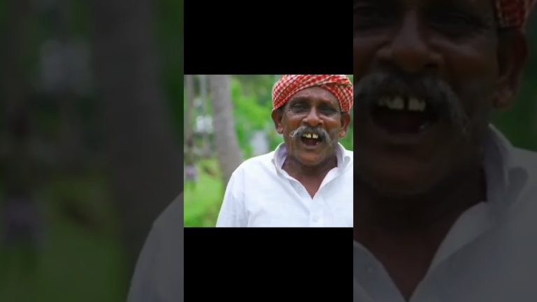 Big fish fry#fish curry#fish recipe #fish omlette#chikenfry#chickencurry#muttoncurry#villagecooking