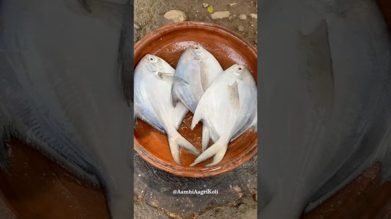 पापलेट | Amazing Huge White Pomfret Fish Cutting Skills | #pomfret #koli #food #seafood #agrikoli
