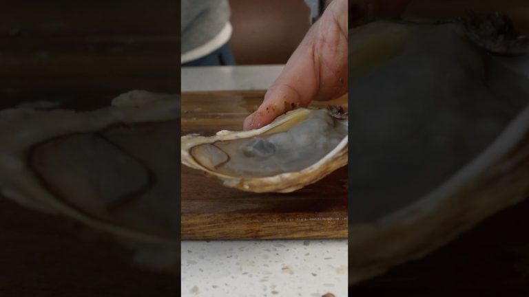 This Oyster Smelled Horrible #seafood #oysters #rotten