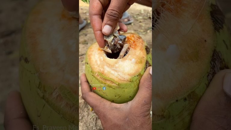 కొబ్బరికాయలో  ఏడుచేపల పులుసు తిన్నారా 😂🤔😁