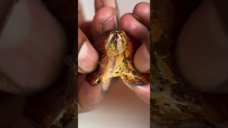 Best weight gain shake for skinny body to bulking result in 15 days #howtobuildmuscleforskinnyguys