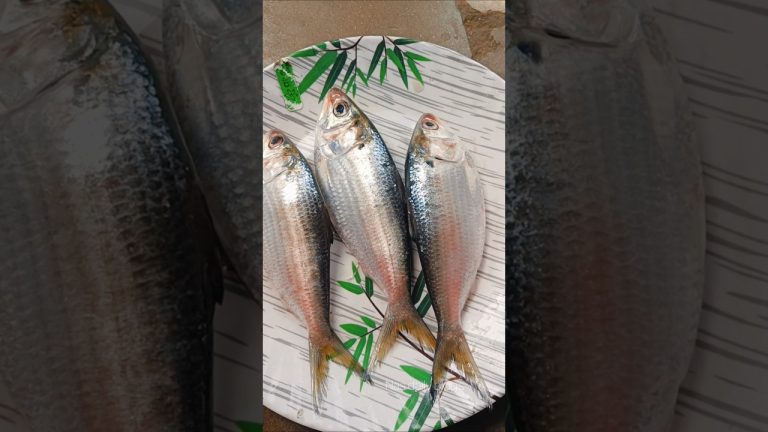 ইলিশ মাছ না ইলিশ মাছের মত।😳😍 #shorts #food #recipe #fish