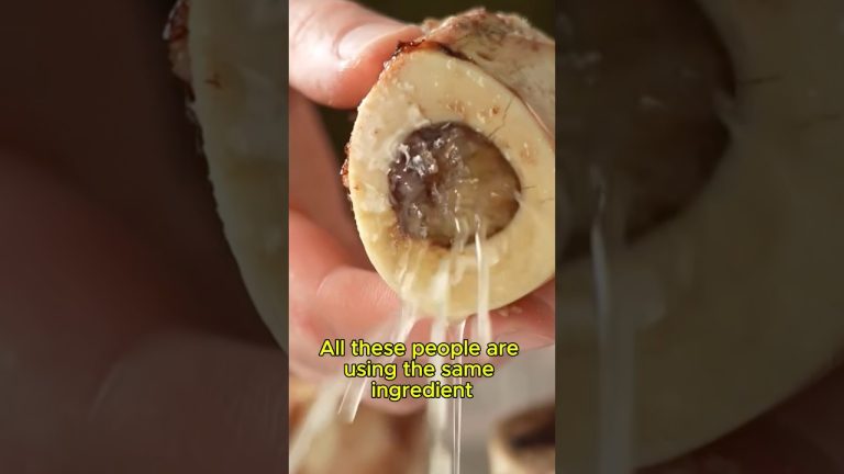Bone marrow cooked three totally different ways! #food #cooking #meat