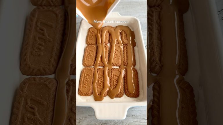 Biscoff Lasagna!?