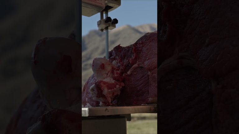 Campfire Meat Cooking: Juicy Steak in the Heart of the Wilderness! 🔥🏕️