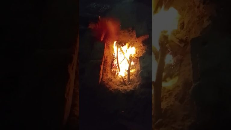 BBQ blast #shortviral #food #bbqlovers #bollywood