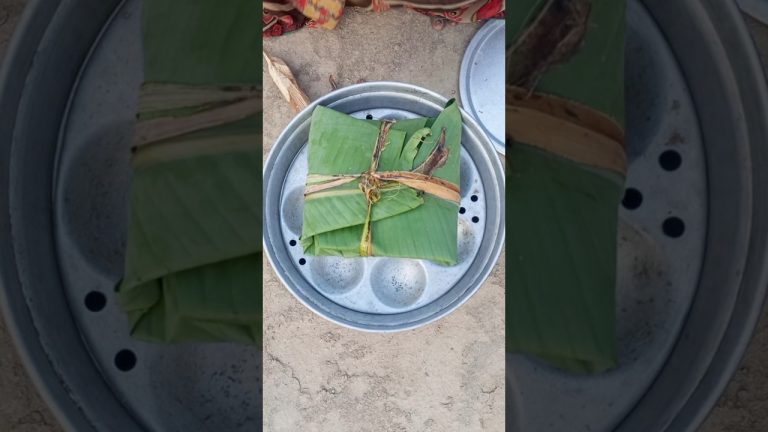 Banana Leaf Steamed Chicken Delight #shots #chicken #viral