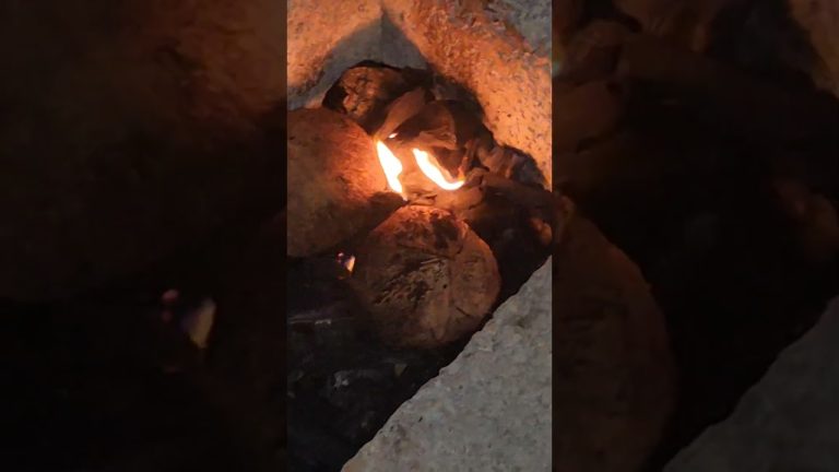 Traditional way to grill chicken #bbq🍗🐓