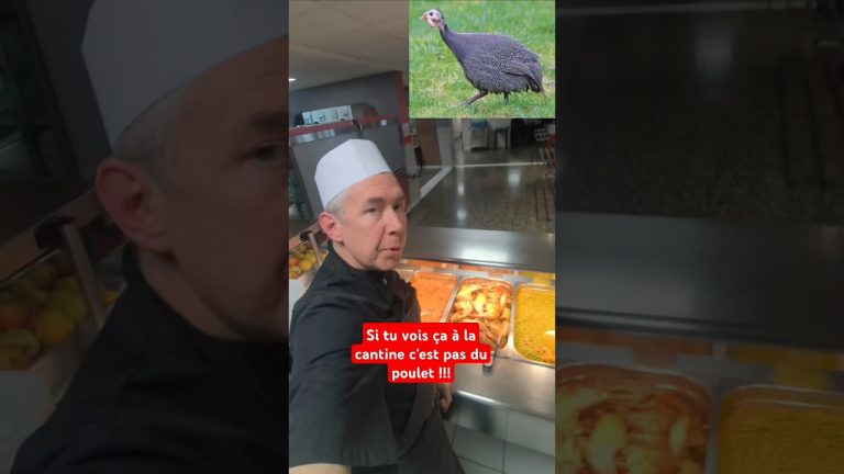 ça se VOiT quand même 🤡 #shortsvideo ➡️@lecantinier
