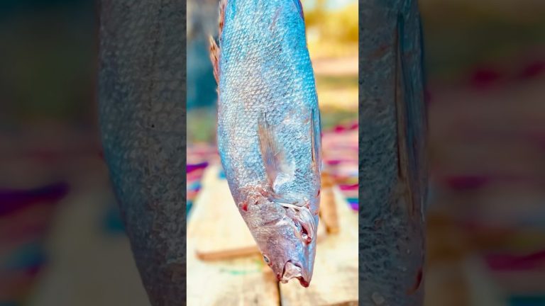 Delicious and delicious fish skewers recipe🐠 #food #cooking #fish #recipe