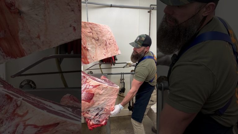 Separating a Beef Rib/Chuck. 🔪🥩 #shorts #shortsvideo #fyp #viral