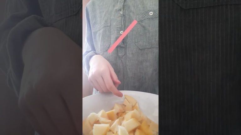 Meyve Suyu Ev Yapımı