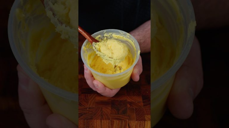 Can you make Mayo out of Beef Tallow?!