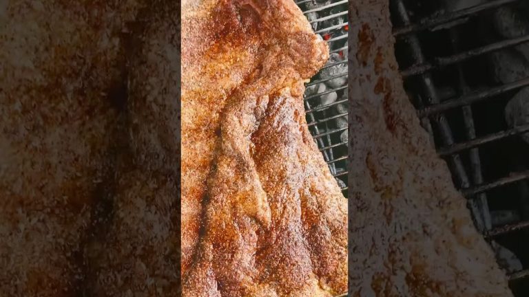 Just a accomplice 😅😬 #grill #cooking #outdoors #shorts #pov