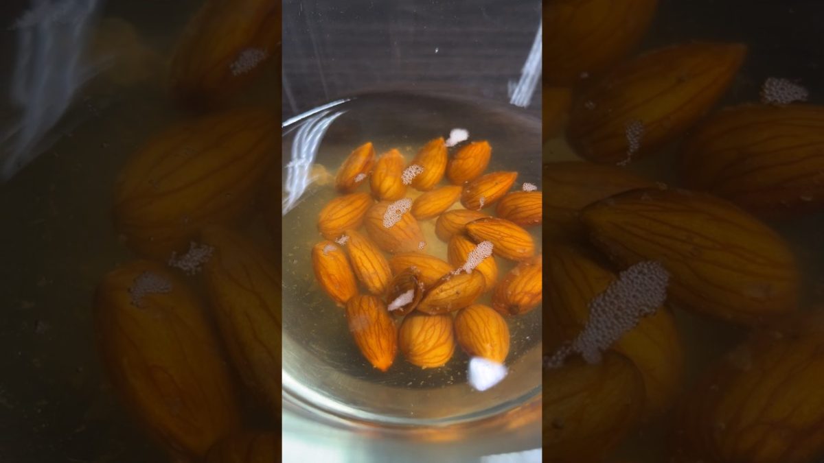 Refreshing Almond Milkshake Recipe #shorts #youtubeshorts #shortvideo #asmr