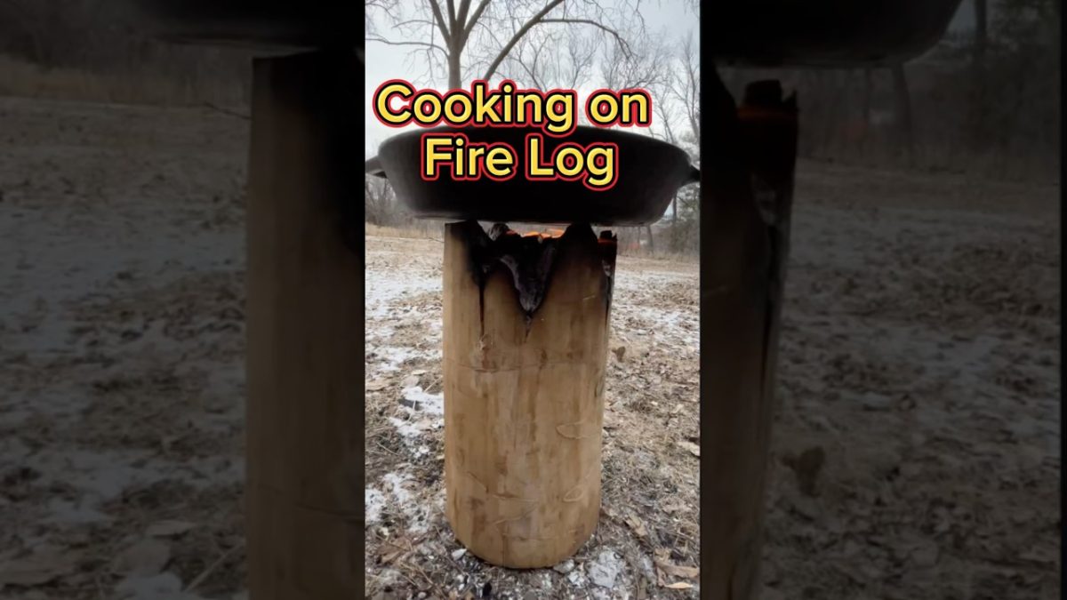 🔥Cooking Hamburger on Fire Log🔥
