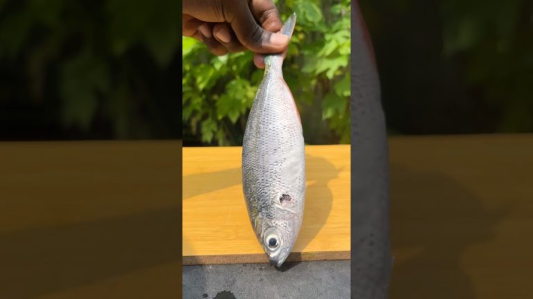 Guess the fish..?🐟 #shortsvideo #viralvideo #asmr