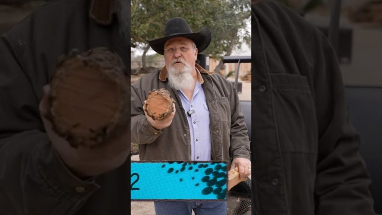 Know Your Wood Tip 2 #bbq #short #food