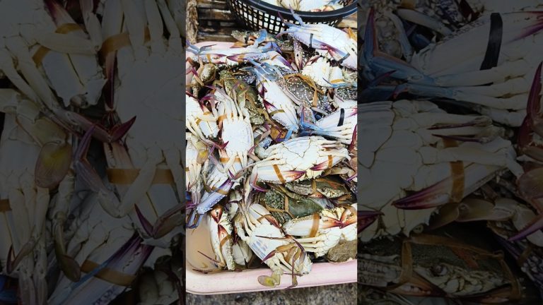 Crabs seafood #crab #seafood #seafoodrecipes #recipe #recipes #dish #cooking #cookingvideo #food