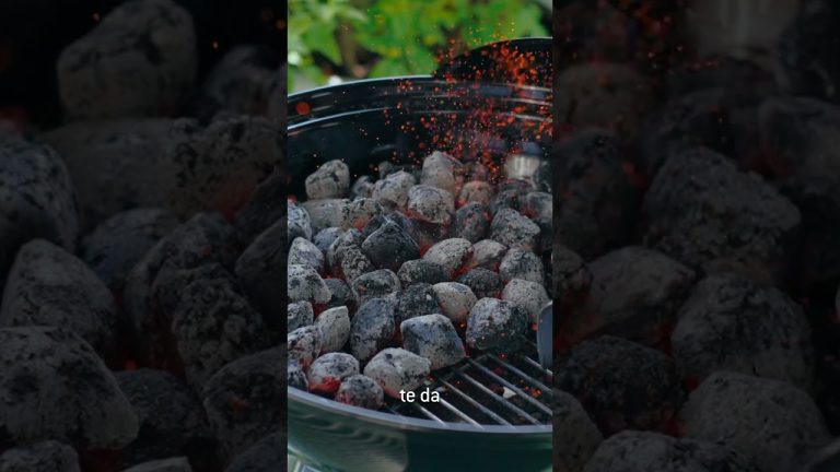 Asador de Carbón Jumbo Joe Premium 22″